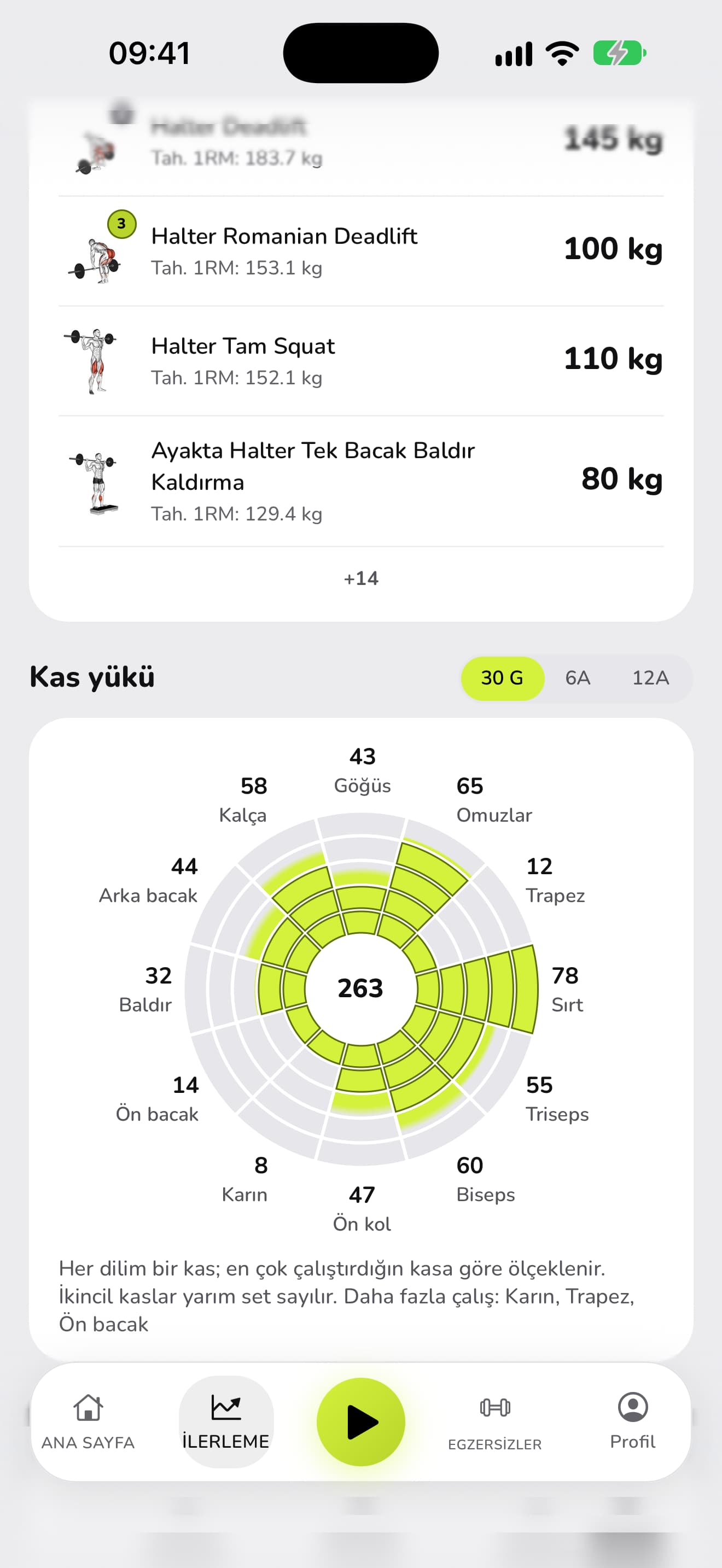 WaveFit kas yükü çarkı: 30 günde 263 set, kas kas. Daha fazla çalış: karın, trapez, ön bacak.
