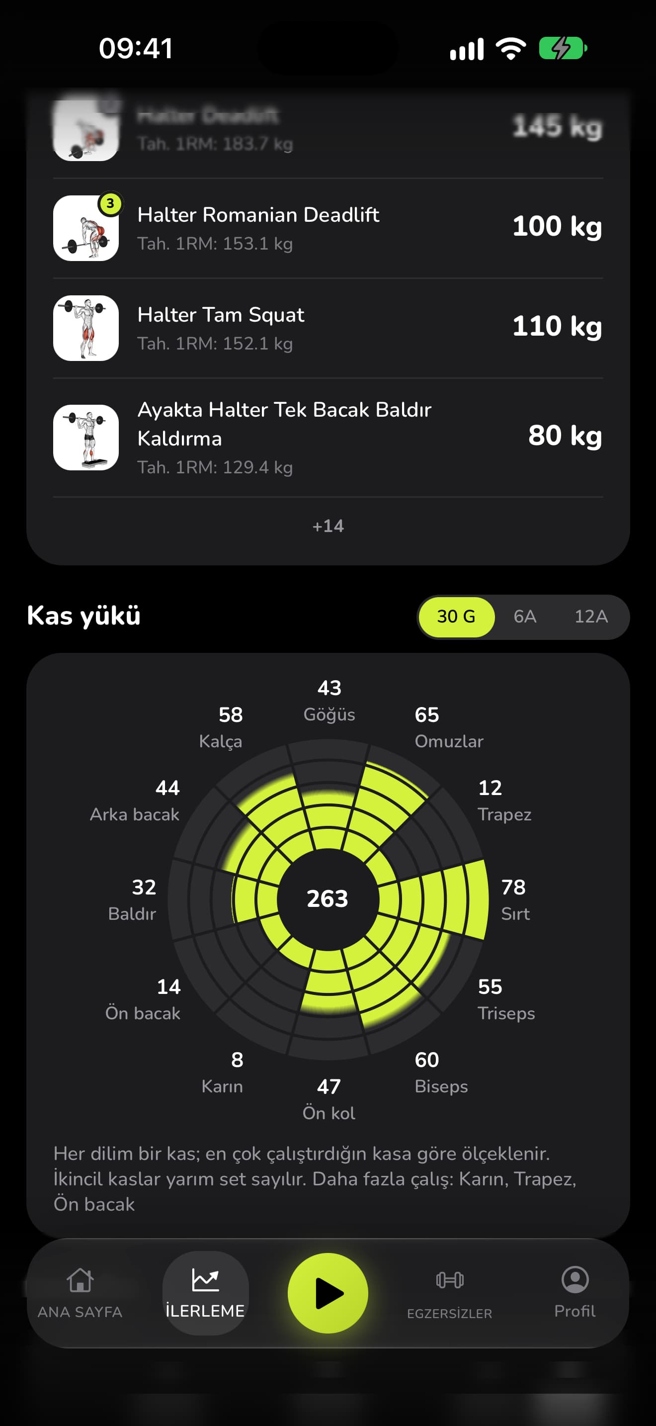 WaveFit kas yükü çarkı: 30 günde 263 set, kas kas. Daha fazla çalış: karın, trapez, ön bacak.